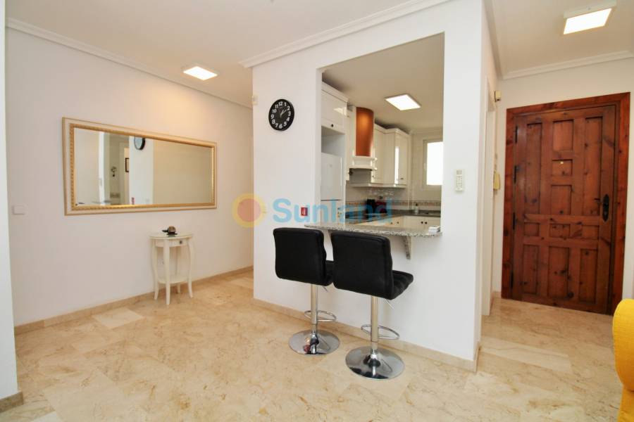 Segunda mano - Apartamento - Villamartin