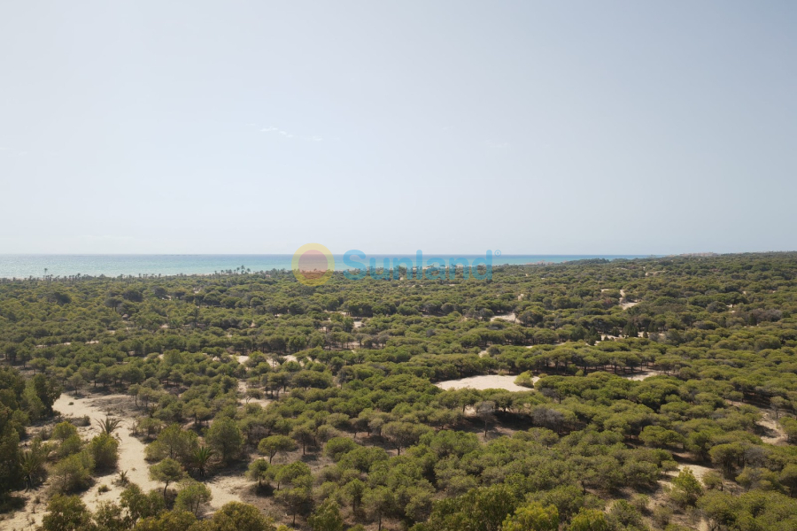 Brukte eiendommer - Leilighet - Guardamar del Segura