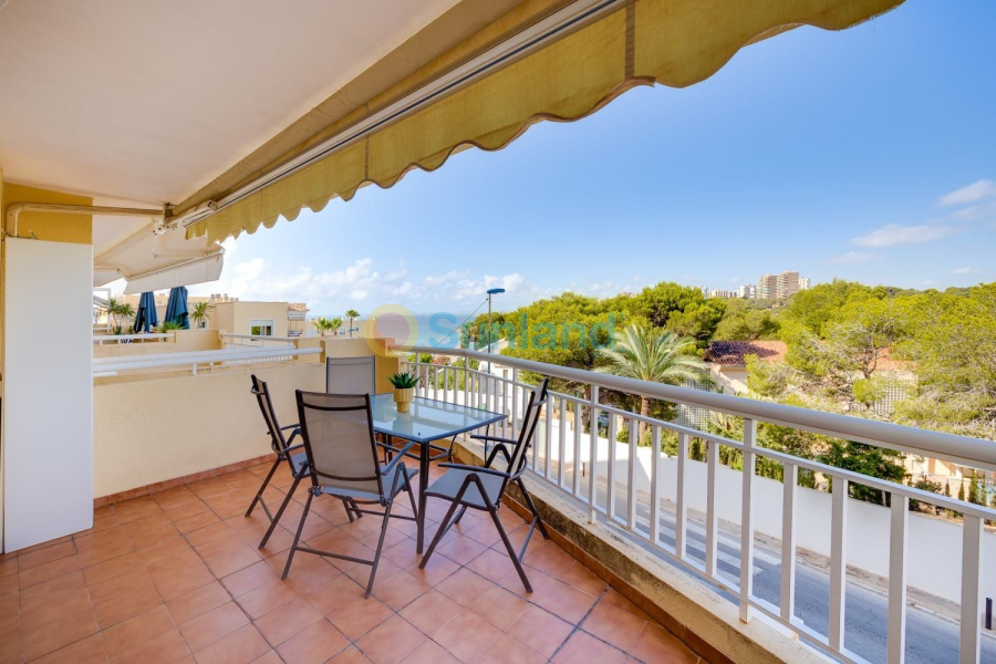 Verkauf - Apartamento - Orihuela Costa - La Regia