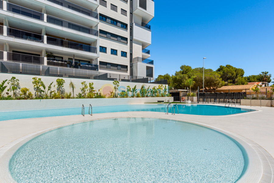 Segunda mano - Apartamento - Orihuela Costa - Campoamor