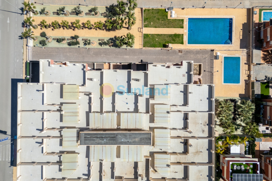 Segunda mano - Apartamento - Orihuela Costa - Lomas De Cabo Roig