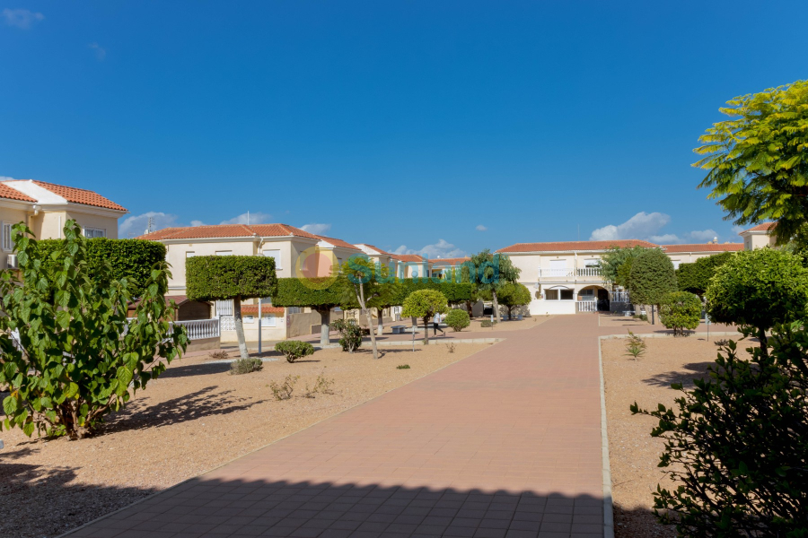 Segunda mano - Adosado - Torrevieja - Aguas Nuevas