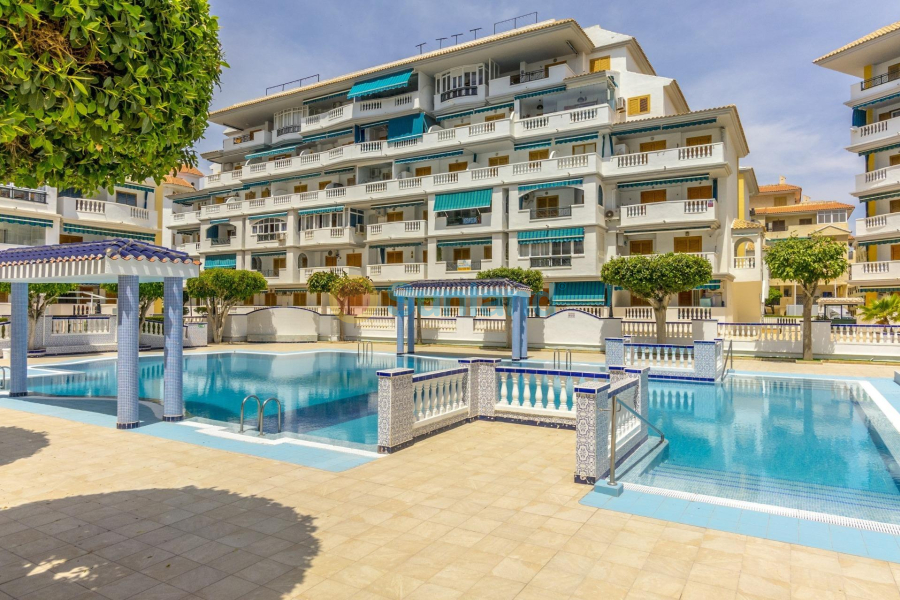 Segunda mano - Apartamento - Torrevieja - Los Europeos