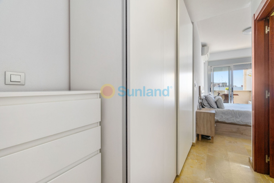 Segunda mano - Apartamento - Torrevieja - Centro