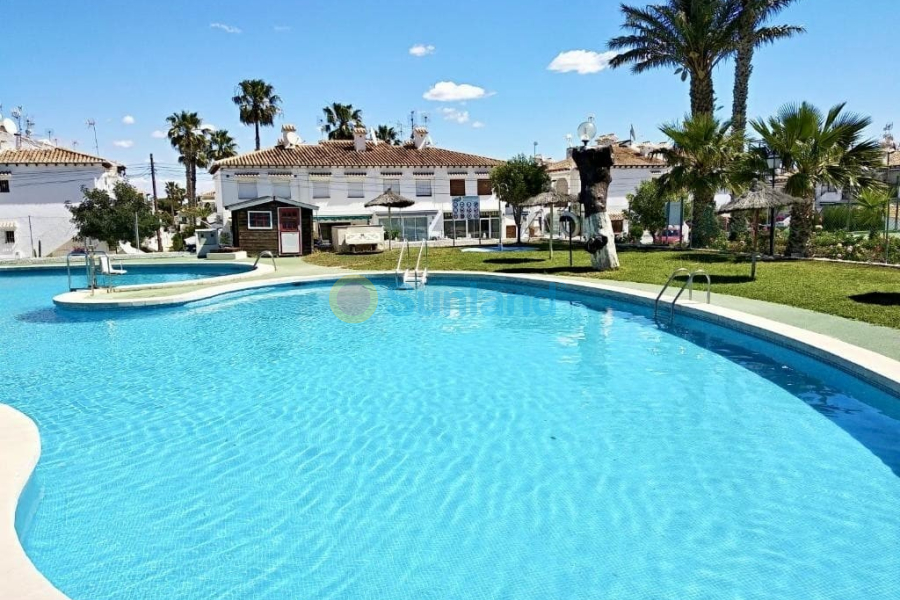 Вторичка - Apartments - Torrevieja - Los Balcones
