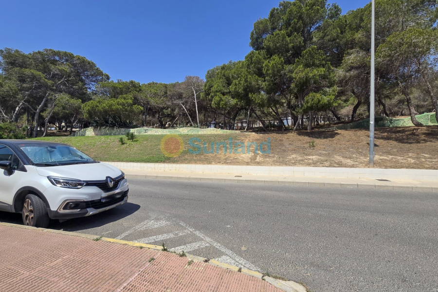 Använda fastigheter - Land - Guardamar del Segura - Pueblo