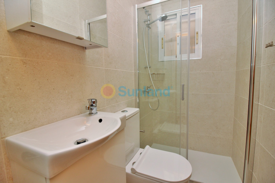 Använda fastigheter - Villa - Playa Flamenca