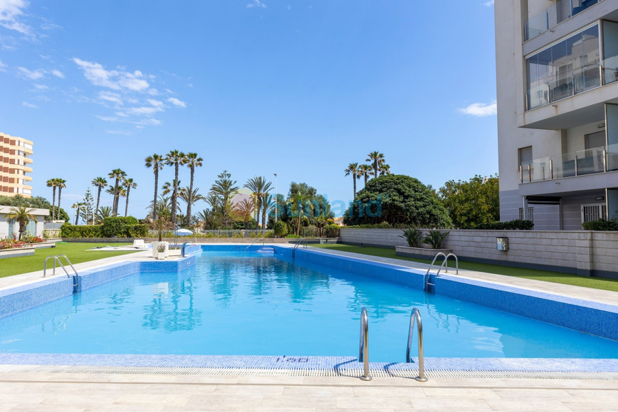 Segunda mano - Apartment - Flat - La Mata - Playa