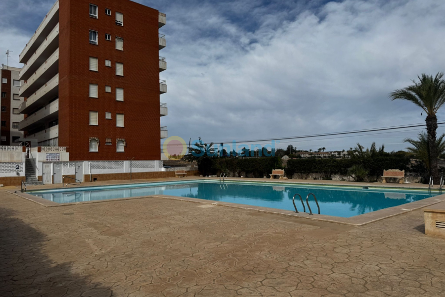 Använda fastigheter - Lägenhet - Torrevieja - Punta Prima