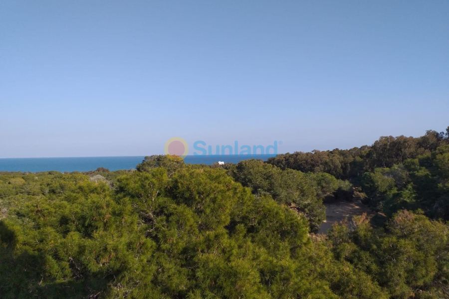 Ny bygg - Ground floor apartment - Guardamar del Segura - Pueblo