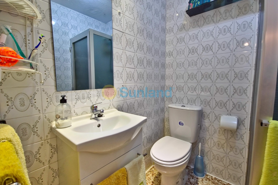 Verkauf - Apartment - Guardamar del Segura - 