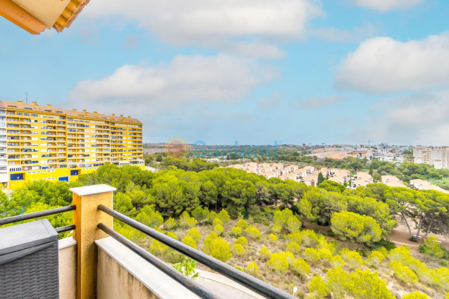 Verkauf - Apartment - Orihuela Costa - Campoamor