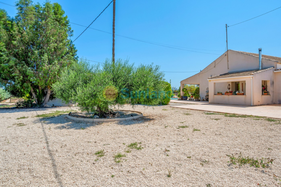 Resale - Country estate - Elche/Elx