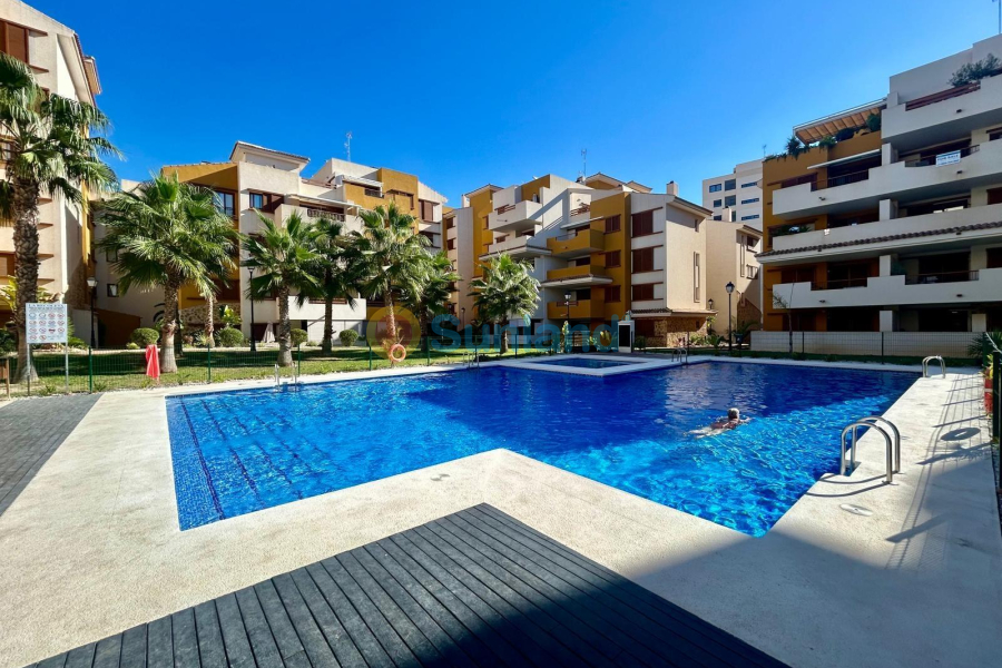 Segunda mano - Apartamento - Torrevieja - Punta Prima