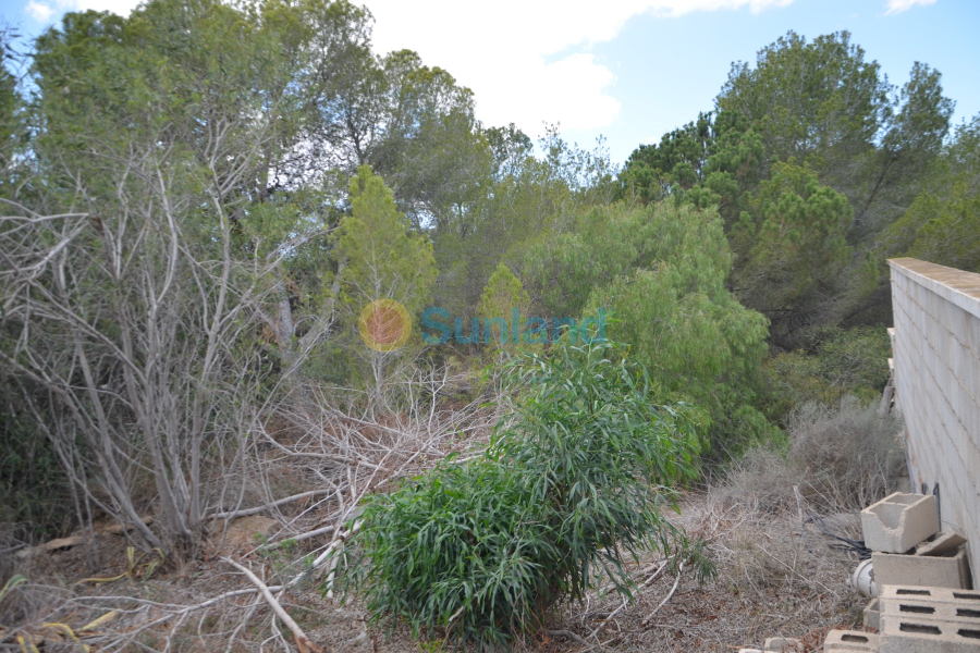 Segunda mano - Chalet - Pilar de la Horadada - Pinar de Campoverde