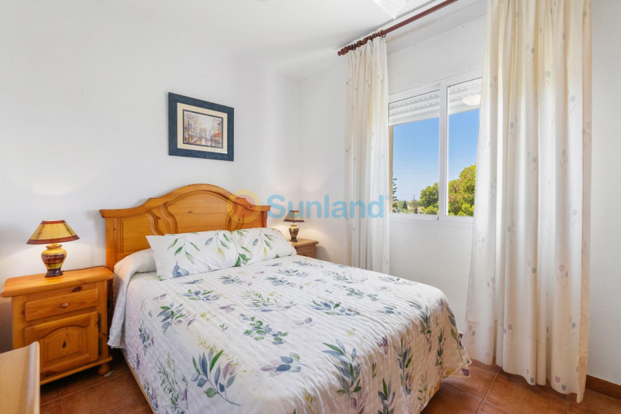 Segunda mano - Apartamento - Orihuela Costa - Campoamor