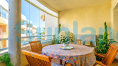 Segunda mano - Apartamento - Orihuela Costa - Altos de Campoamor