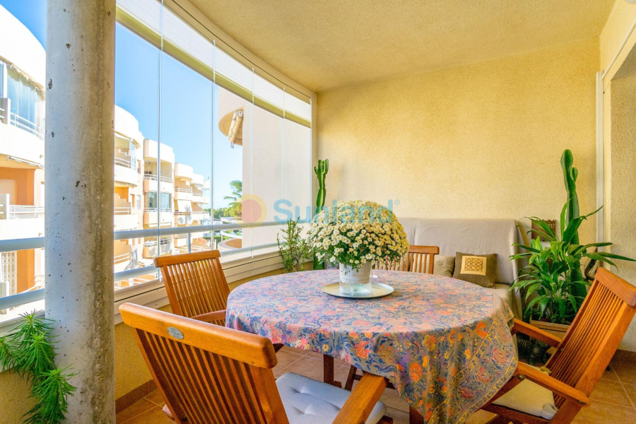 Segunda mano - Apartamento - Orihuela Costa - Altos de Campoamor