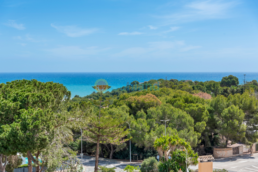 Brukte eiendommer - Leilighet - Orihuela Costa - Campoamor