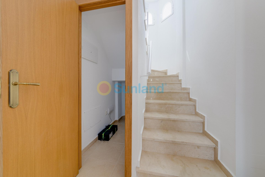 New Build - Villa - San Fulgencio - El Oasis