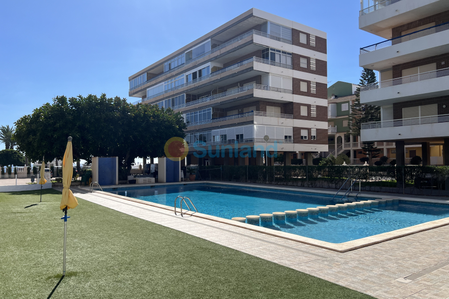 Segunda mano - Apartamento - Torrevieja - La Veleta