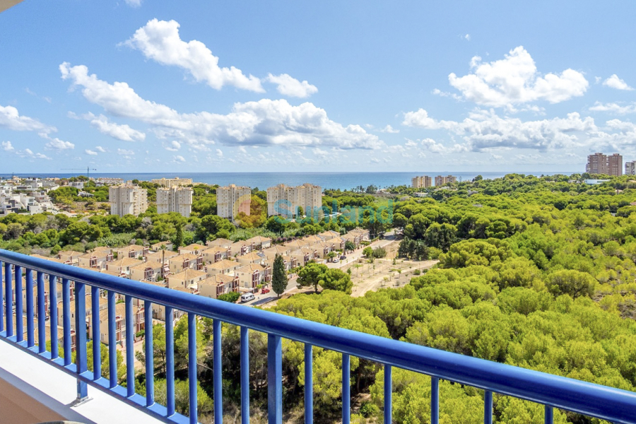 Verkauf - Apartment - Orihuela Costa - Campoamor