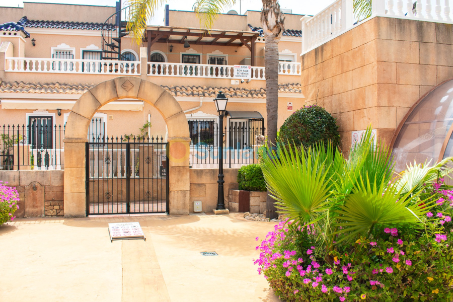 Segunda mano - Adosado - Orihuela - Villamartín
