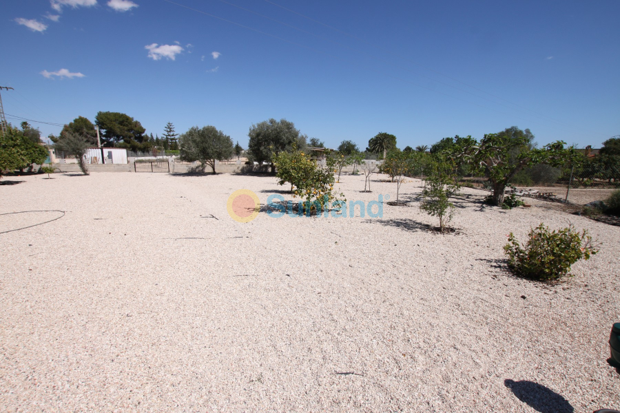 Resale - Country house - Crevillente