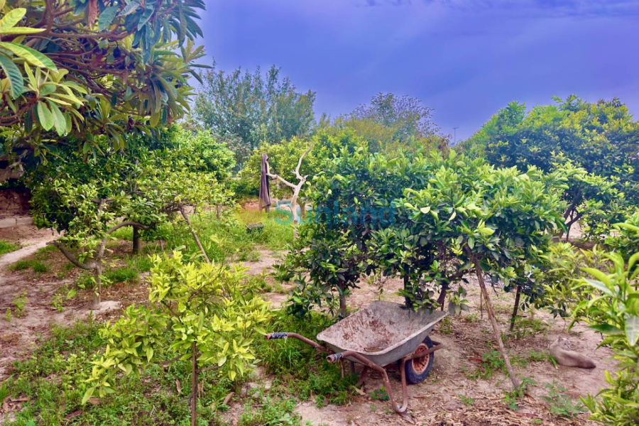 Brukte eiendommer - Country house - Rojales - Ciudad Quesada