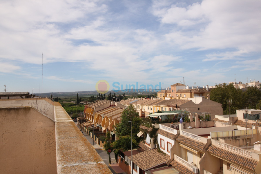 Brukte eiendommer - Leilighet - Los Montesinos - Center