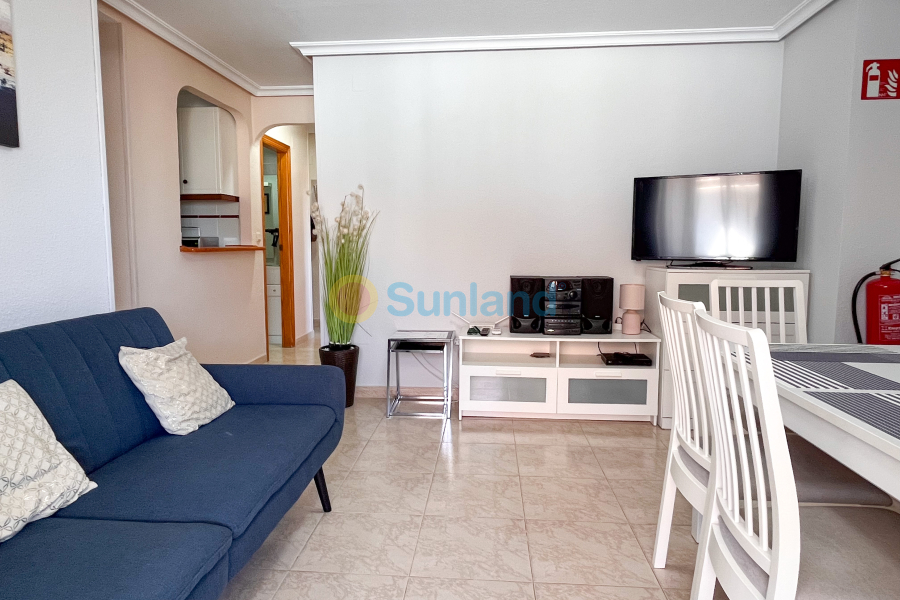 Använda fastigheter - Apartamento - Torrevieja - La Mata