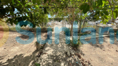 Segunda mano - Country house - San Fulgencio - La Marina