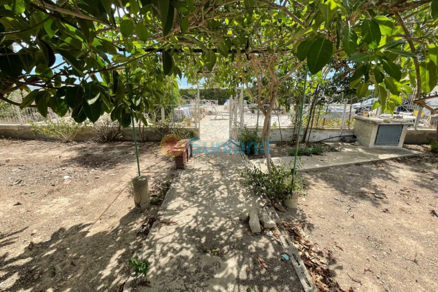 Segunda mano - Country house - San Fulgencio - La Marina
