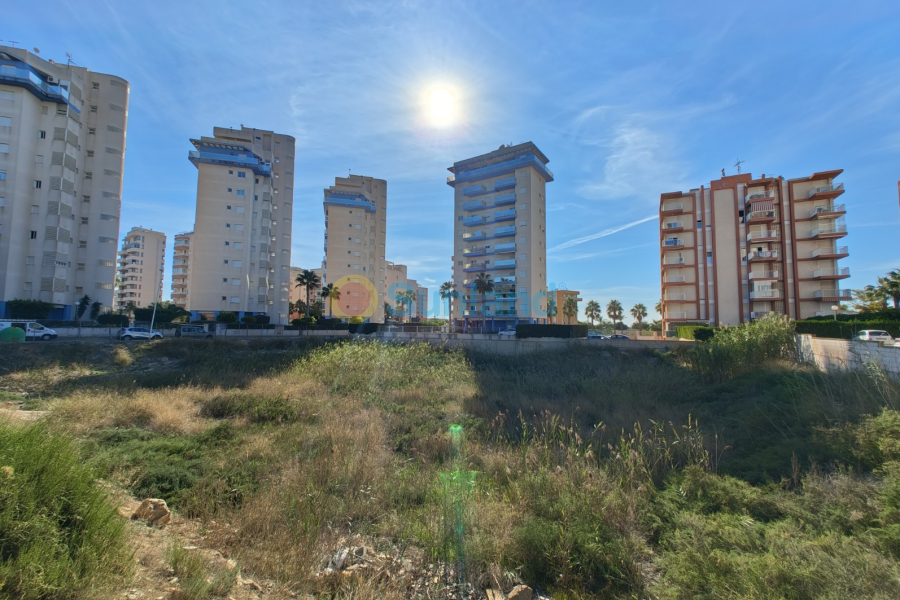 Resale - Land - Guardamar del Segura