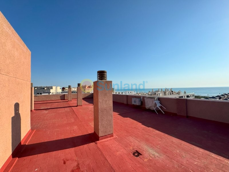 Verkauf - Apartment - La Mata