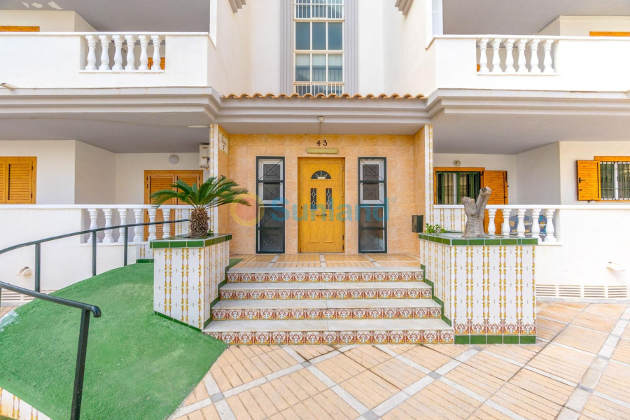 Segunda mano - Apartamento - Torrevieja - Los Europeos