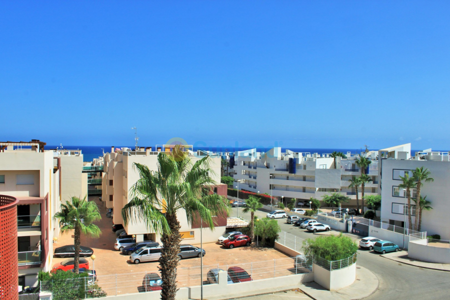 Segunda mano - Apartamento - Playa Flamenca