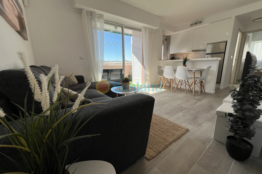 Använda fastigheter - Apartamento - Torrevieja - La Mata