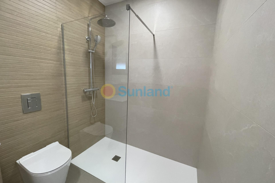 Ny bygg - Villa - Almoradí - Heredades