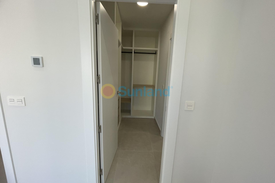 Ny bygg - Villa - Almoradí - Heredades