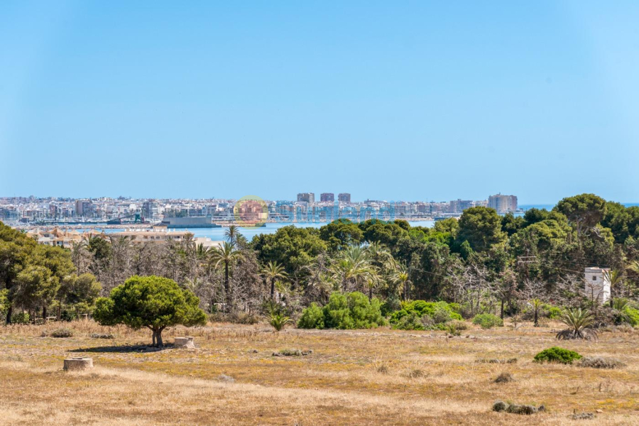Använda fastigheter - Lägenhet - Torrevieja - Punta Prima