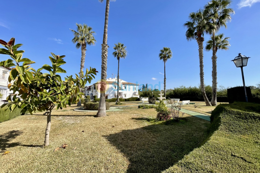Вторичка - Apartments - Torrevieja - Los Balcones