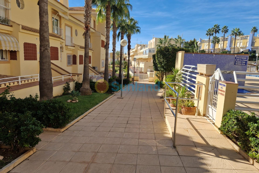 Använda fastigheter - Lägenhet - Orihuela Costa - Campoamor