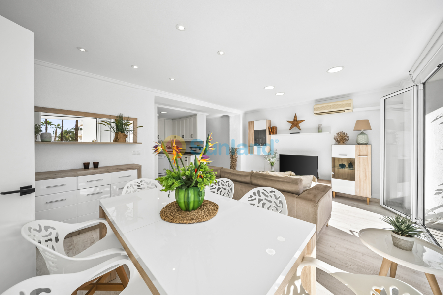 Brukte eiendommer - Apartamento - Torrevieja - Puerto