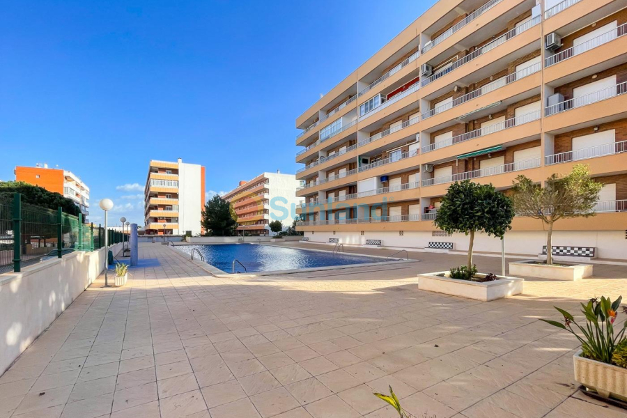 Använda fastigheter - Lägenhet - Torrevieja - Punta Prima