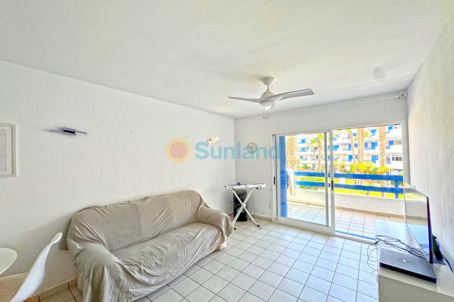 Segunda mano - Apartamento - Orihuela Costa - Playa Flamenca