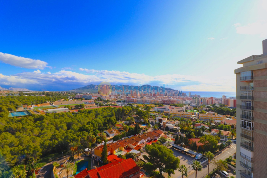 Resale - Apartment - Benidorm - Colonia Madrid