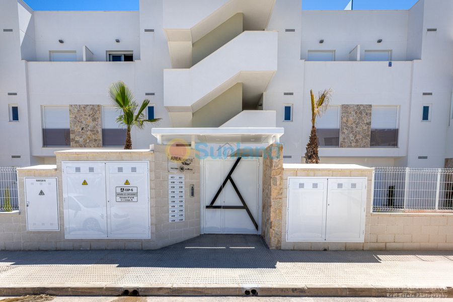 Använda fastigheter - Apartment / flat - Guardamar del Segura - El Raso