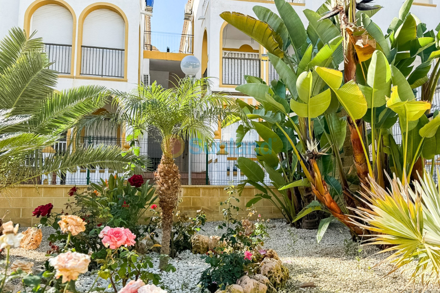 Resale - Apartment - Torrevieja - La Mata