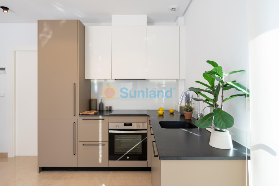 Nueva construcción  - Semidetached - La Marina - El pinet